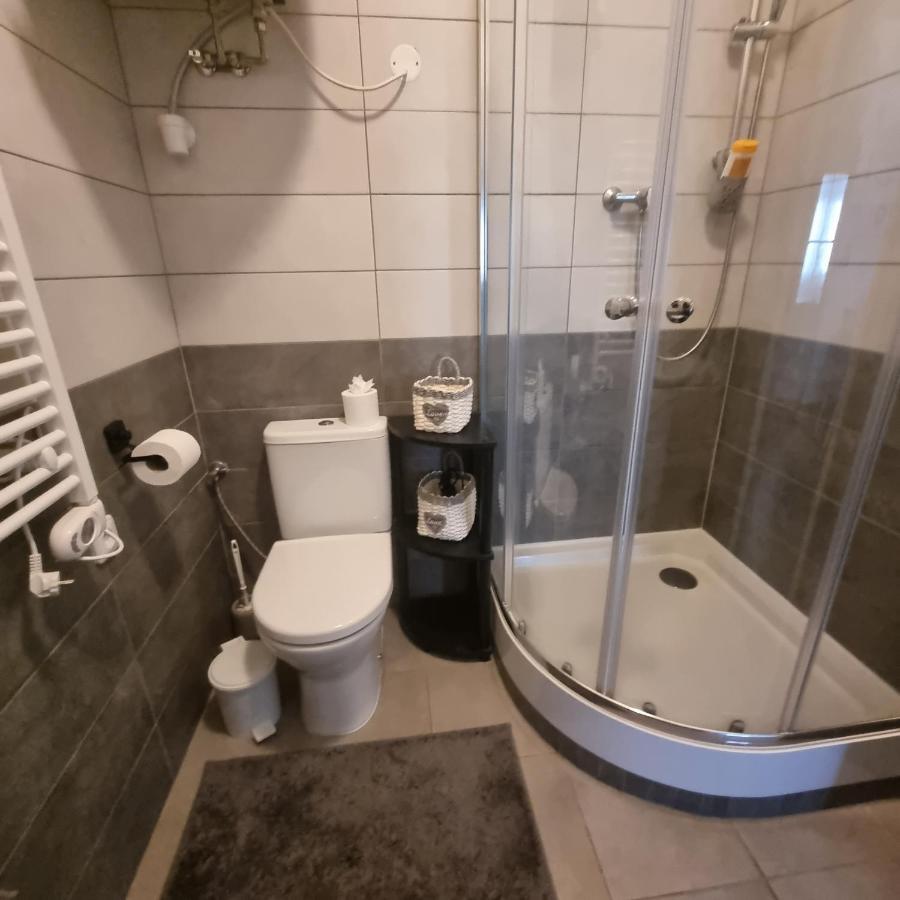Cerny Tulipan - Apartman 4 Pilsen Exterior foto