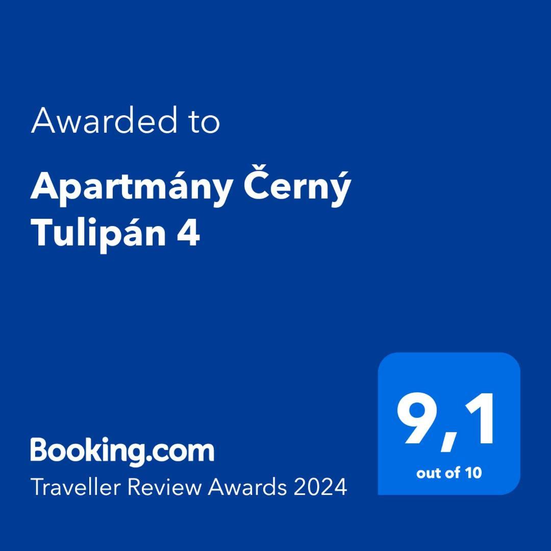 Cerny Tulipan - Apartman 4 Pilsen Exterior foto